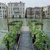 Palazzo Benzon sul Canal Grande