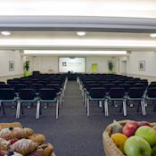 Tavistock Room (Theatre Style) - Woburn House Conference Centre