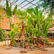 Sky Garden - Sheraton Skyline Hotel London Heathrow