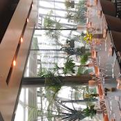 Vinoly - Sky Garden