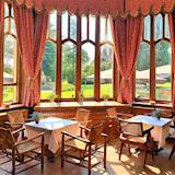 The Library