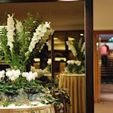 Entrance to Palace Suite Foyer