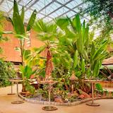 Sky Garden