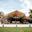 Think Wild for Your Next Event – Introducing Port Lympne Reserve