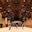 Brighton Dome – Exciting Updates That’s the Talk of the Town
